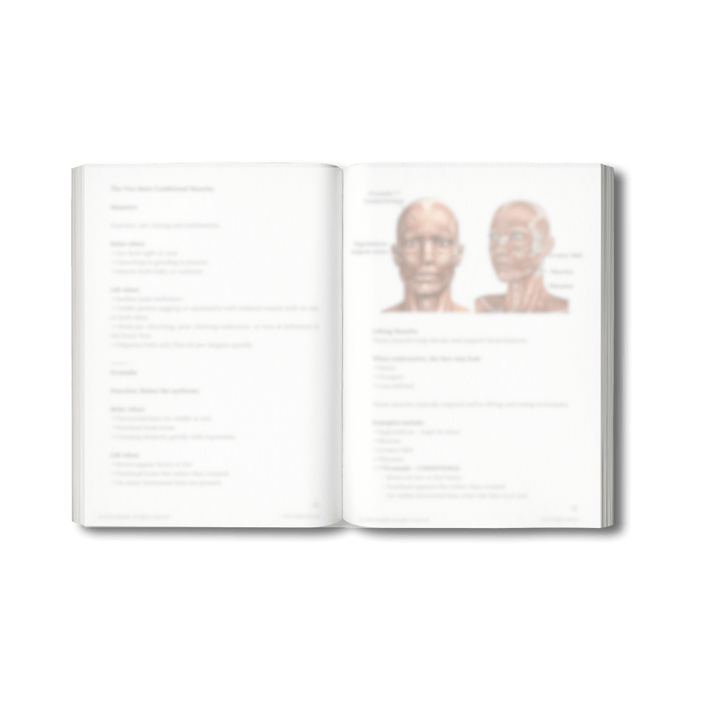 The Mojia Microcurrent Method - Digital Guide