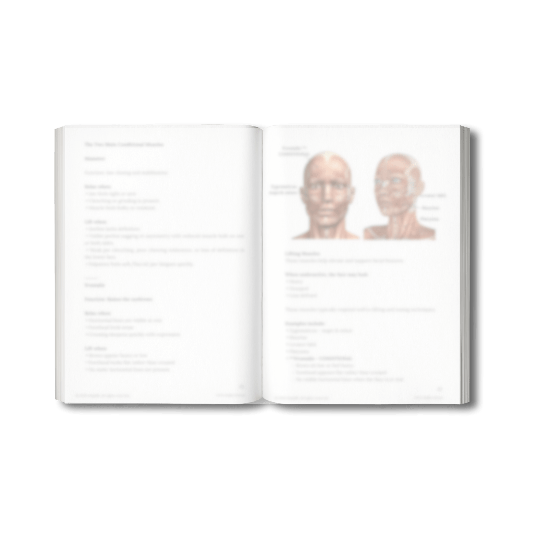 The Mojia Microcurrent Method - Digital Guide